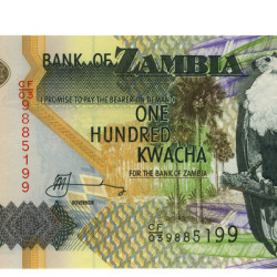 100 Kwacha - Zambia 2006