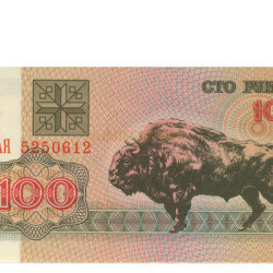 100 Rublei -Bielorussia 1992 Nova