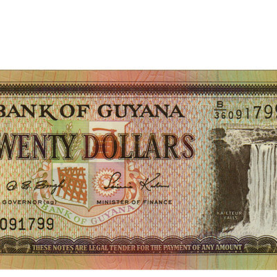 20 Dollars - Guiana 1996
