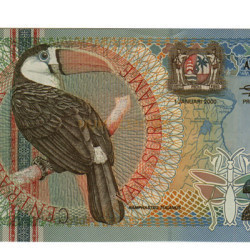 25 Gulden - Suriname 2000
