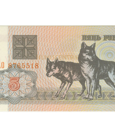 5 Rublei - Bielorussia 1992 Nova