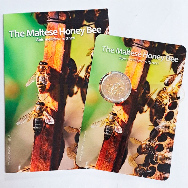 Moeda 2 Euros Abelha Maltesa Malta 2024 Coincard